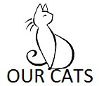 Our Breeder Cats