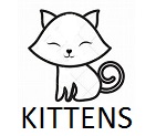 Available Kittens